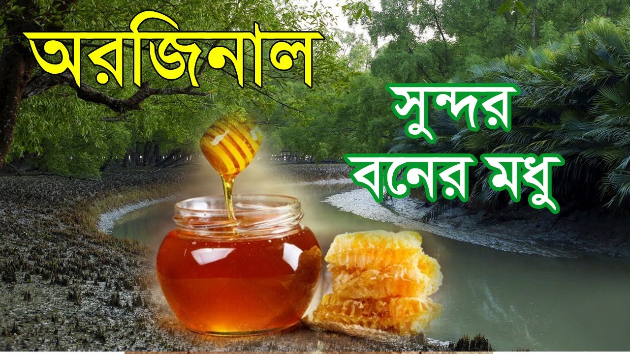 সুন্দরবনের চাকের মধু | Sundarbans Natural Honey
